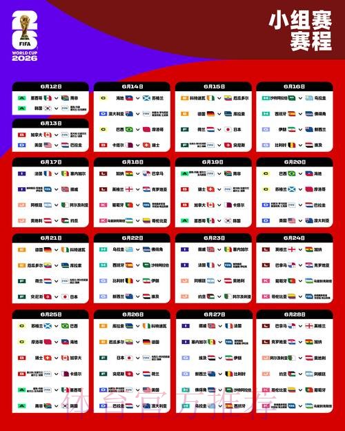 世界杯直播热门赛况解析